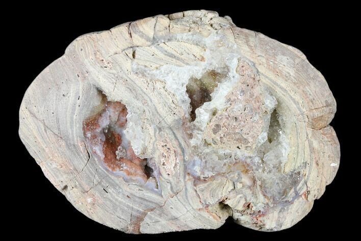 Crystal Filled Dugway Geode (Polished Half) - Utah #176749